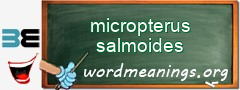WordMeaning blackboard for micropterus salmoides